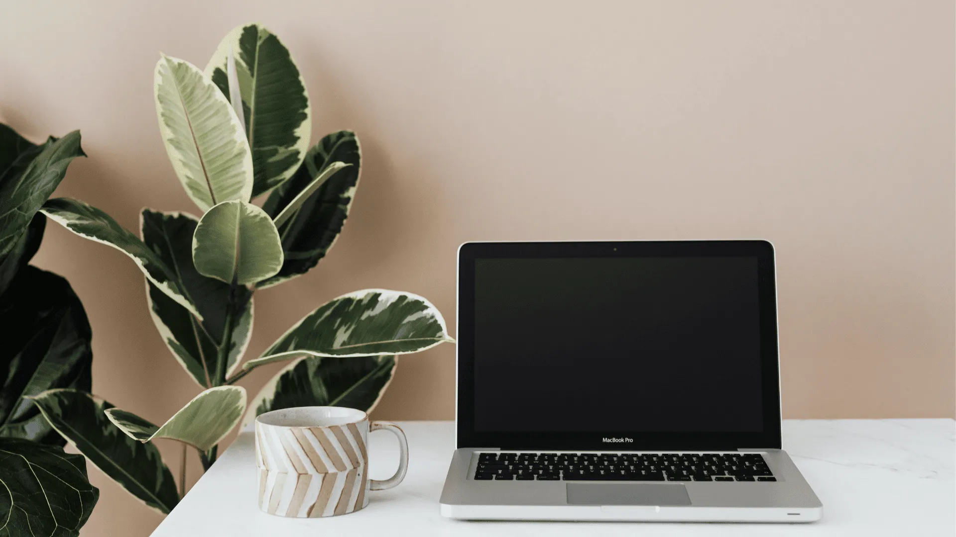 pc portátil encima de escritorio con planta y taza